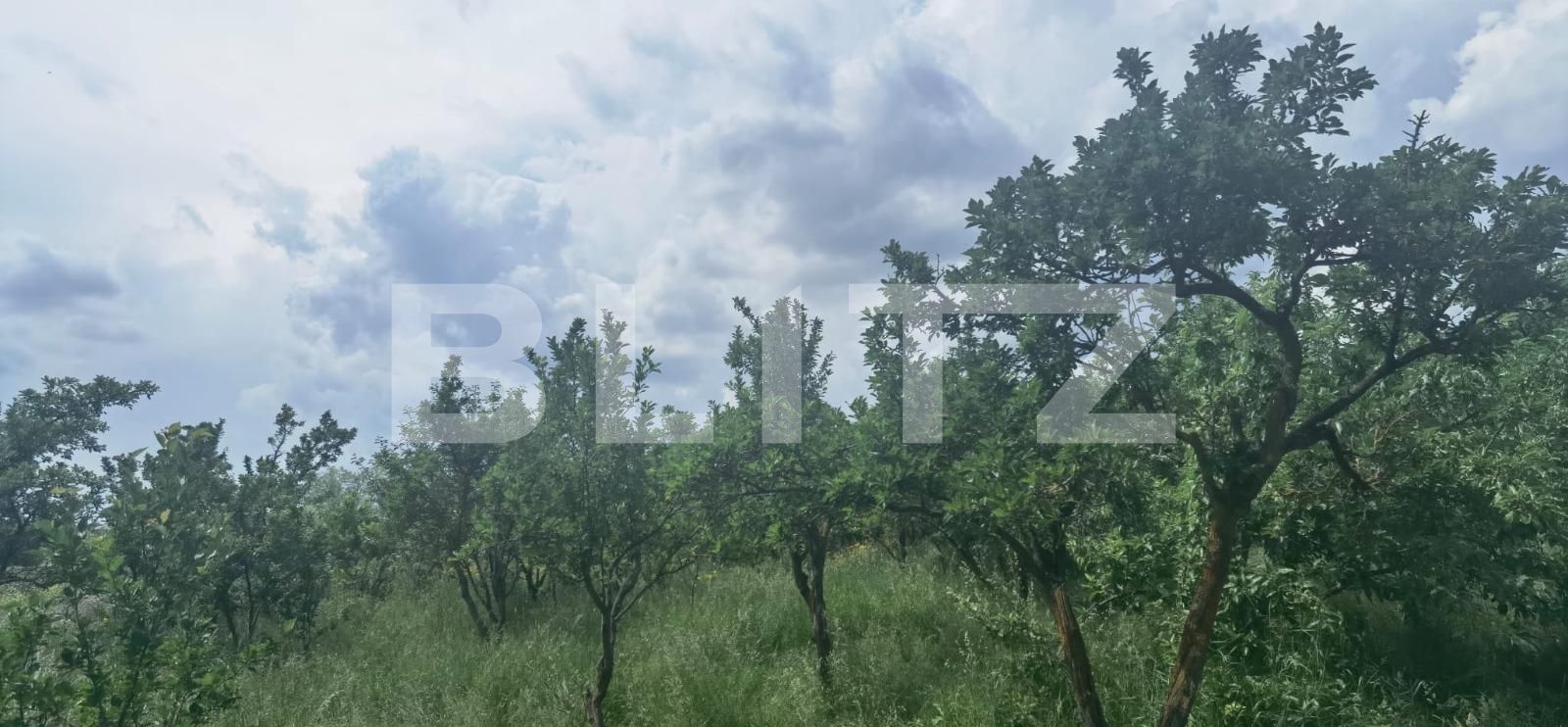 Casa de vânzare 3 camere Exterior Est - 117679CV | BLITZ Cluj-Napoca | Poza8