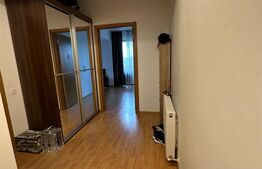 Apartament 1 camera, 40 mp,  zona Observator 