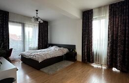 Apartament 1 camera, 40 mp,  zona Observator 