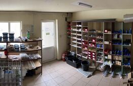 Casa 75 mp utili, curte 300 mp, pentru activitati comerciale, Iris