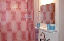 Apartament 1 camera, 30 mp utili, zona strazii Parang!