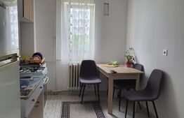 Apartament cu 2 camere decomandate, Zona Grigore Alexandrescu