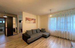 Apartament 40 mp, parcare, balcon, pet friendly, zona strazii Albastrelelor 