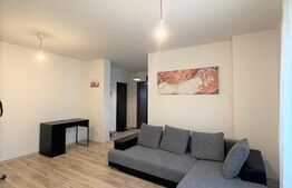 Apartament 40 mp, parcare, balcon, pet friendly, zona strazii Albastrelelor 