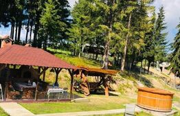 Casa de vacanta, 4 camere, 119 mp utili, 2300 mp de teren, Marisel