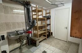 Casa de 260 mp, 500 mp teren, zona Iris
