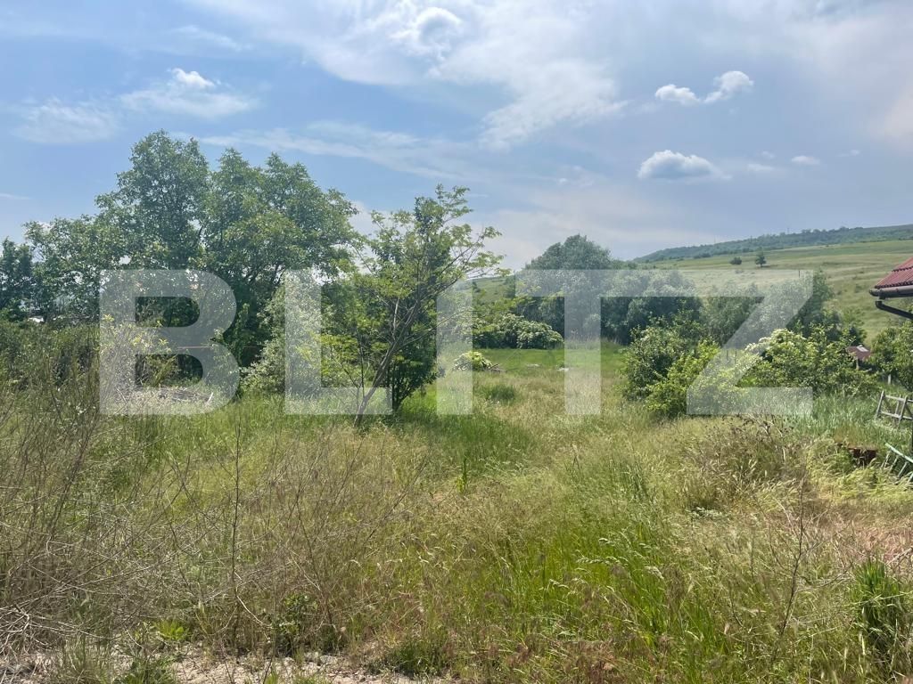 Casa de închiriat 8 camere Iris - 117894CI | BLITZ Cluj-Napoca | Poza18
