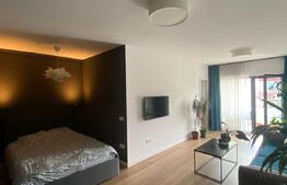 Apartament 1 camera, parcare, zona strazii Liviu Rebreanu 