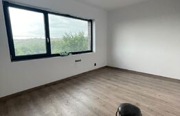 Casa individuala, 177 mp, 370 mp teren, pet friendly, zona Colonia Borhanci