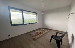 Casa individuala, 177 mp, 370 mp teren, pet friendly, zona Colonia Borhanci
