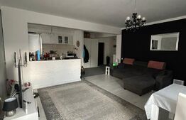 Apartament 2 camere, 63 mp utili, mobilat utilat, zona Stejarului