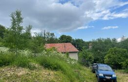 Teren la Munte, Magura Ierii, 1913 mp, intravilan 