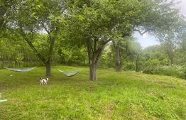 Teren la Munte, Magura Ierii, 1913 mp, intravilan 