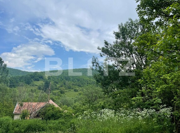 Teren de vânzare Exterior Sud - 118082TV | BLITZ Cluj-Napoca | Poza3