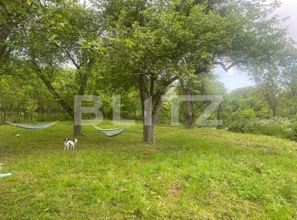 Teren de vânzare Exterior Sud - 118082TV | BLITZ Cluj-Napoca | Poza1