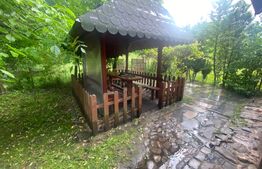 Teren de vânzare, pretabil recreativ / afacere , 504 mp, zona Iulius Mall