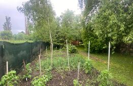 Teren de vânzare, pretabil recreativ / afacere , 504 mp, zona Iulius Mall