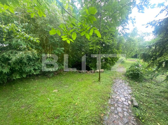 Teren de vânzare Intre Lacuri - 118111TV | BLITZ Cluj-Napoca | Poza6