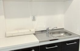 Garsonieră, 22 mp, luminoasa, etajul 3, zona Zizinului