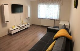Apartament de 2 camere, 55mp, decomandat, Astra-Răcădău