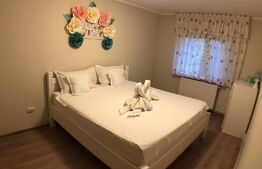 Apartament de 2 camere, 55mp, decomandat, Astra-Răcădău