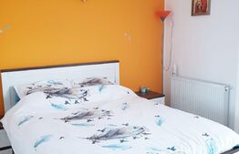 Apartament mobilat si utilat, 2 camere, etaj intermediar, lift zona Terra!