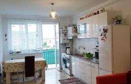 Apartament mobilat si utilat, 2 camere, etaj intermediar, lift zona Terra!