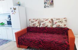 Apartament mobilat si utilat, 2 camere, etaj intermediar, lift zona Terra!