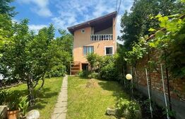 Casa individuala, 140 mp, curte, parcare, zona Eremia Grigorescu 
