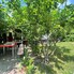 Casa de închiriat 3 camere Grigorescu - 118184CI - Poza 1 din 17 | BLITZ Cluj-Napoca | Poza2