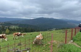 Ocazie! Casa de vacanta cu vedere la Lacul Belis