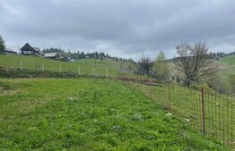 Ocazie! Casa de vacanta cu vedere la Lacul Belis
