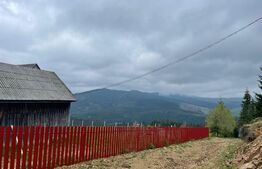Ocazie! Casa de vacanta cu vedere la Lacul Belis