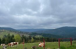 Ocazie! Casa de vacanta cu vedere la Lacul Belis