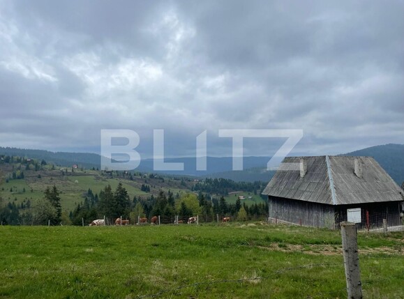 Casa de vânzare 3 camere Beliș - 118189CV | BLITZ Cluj-Napoca | Poza1