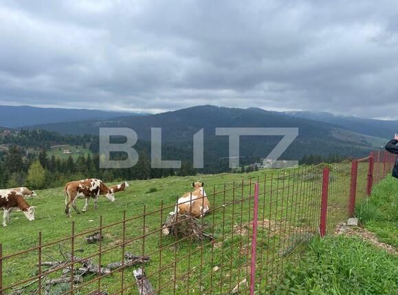 Casa de vânzare 3 camere Beliș - 118189CV | BLITZ Cluj-Napoca | Poza5