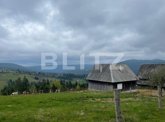 Casa de vânzare 3 camere Beliș - 118189CV | BLITZ Cluj-Napoca | Poza4