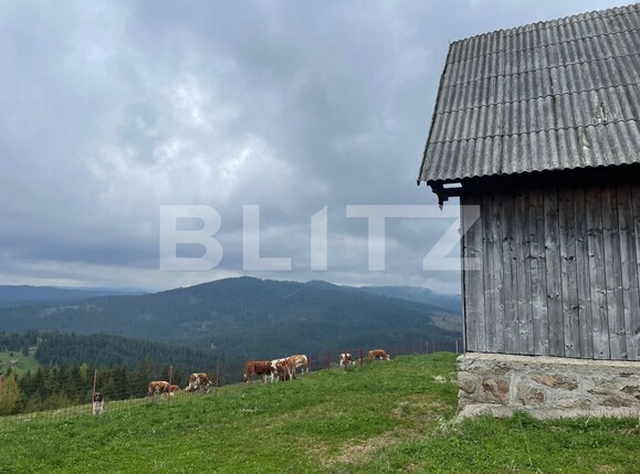 Casa de vânzare 3 camere Beliș - 118189CV | BLITZ Cluj-Napoca | Poza2