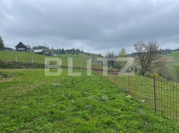 Casa de vânzare 3 camere Beliș - 118189CV | BLITZ Cluj-Napoca | Poza8