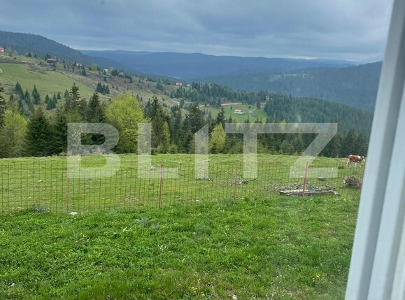 Casa de vânzare 3 camere Beliș - 118189CV | BLITZ Cluj-Napoca | Poza7