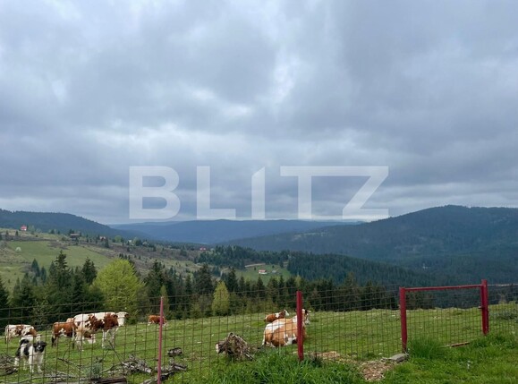 Casa de vânzare 3 camere Beliș - 118189CV | BLITZ Cluj-Napoca | Poza6