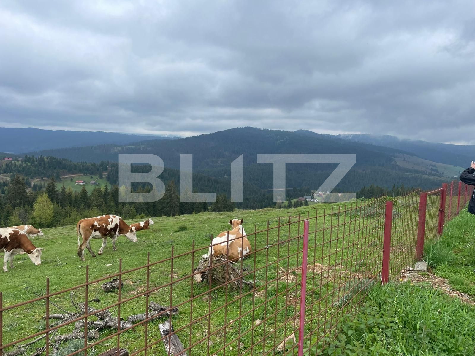 Casa de vânzare 3 camere Beliș - 118189CV | BLITZ Cluj-Napoca | Poza5