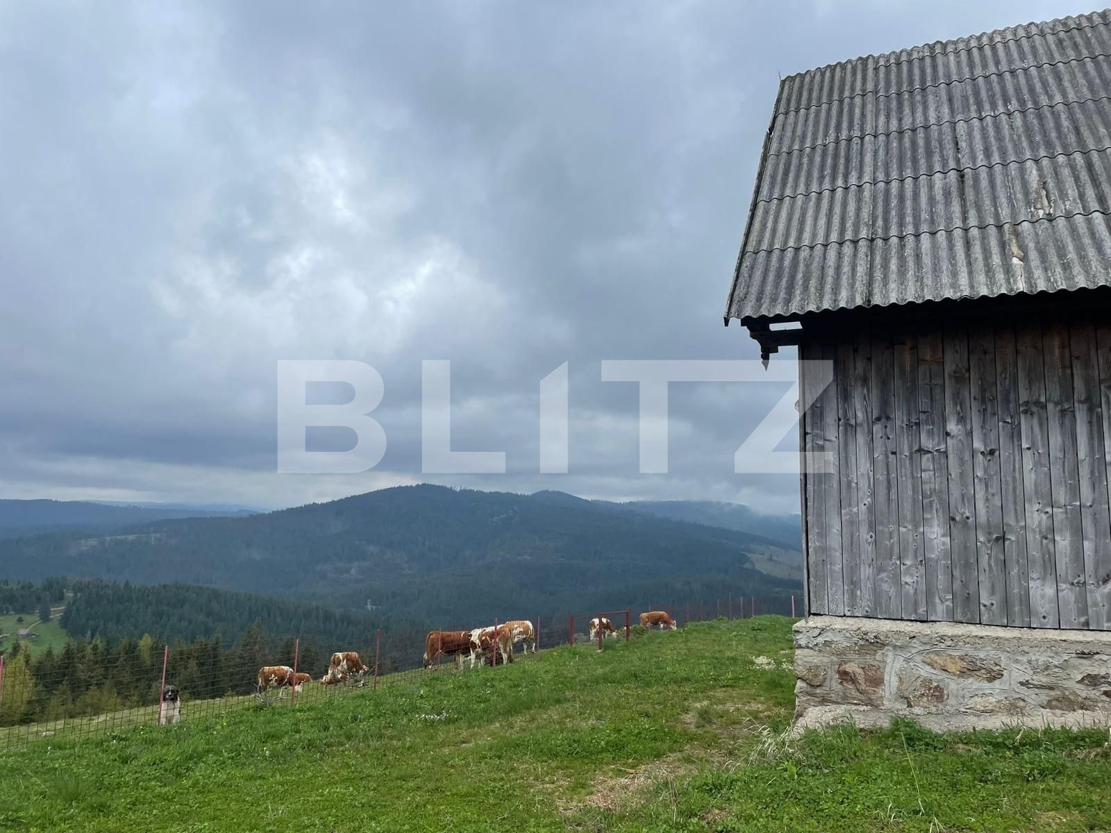 Casa de vânzare 3 camere Beliș - 118189CV | BLITZ Cluj-Napoca | Poza2