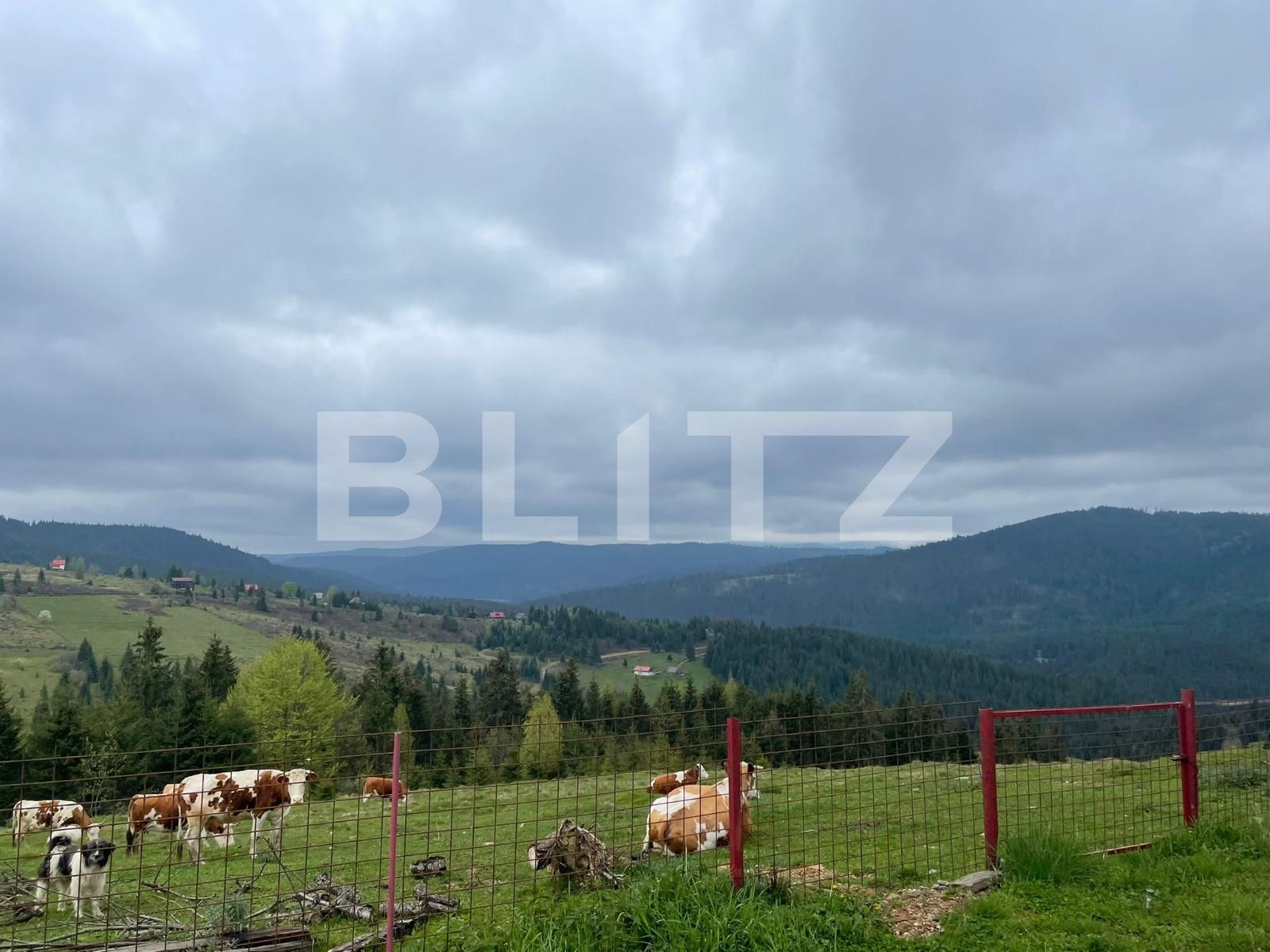 Casa de vânzare 3 camere Beliș - 118189CV | BLITZ Cluj-Napoca | Poza6