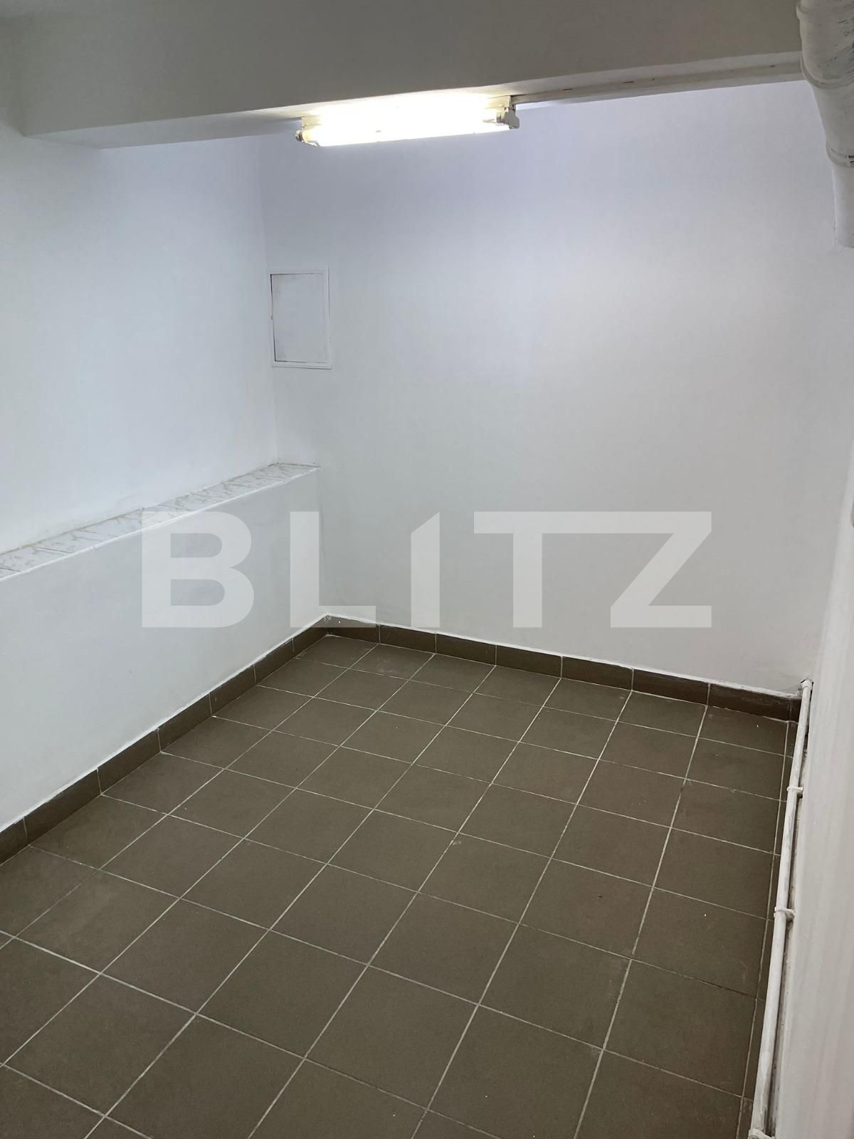 Spațiu comercial de închiriat Tractorul - 118205SIC | BLITZ Brașov | Poza4