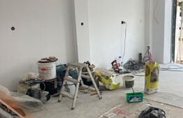 Casa individuala, 100 mp, 300 mp curte, pet friendly, Piata 1 Mai