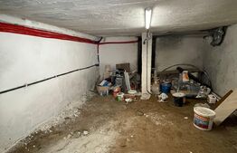 Casa individuala, 100 mp, 300 mp curte, pet friendly, Piata 1 Mai