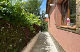 Casa individuala, 100 mp, 300 mp curte, pet friendly, Piata 1 Mai