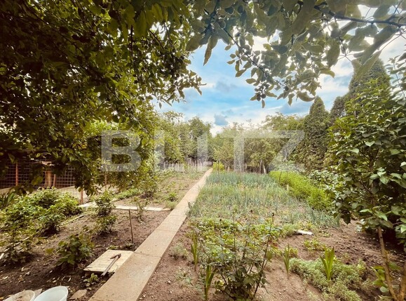 Casa de închiriat 3 camere Marasti - 118224CI | BLITZ Cluj-Napoca | Poza3