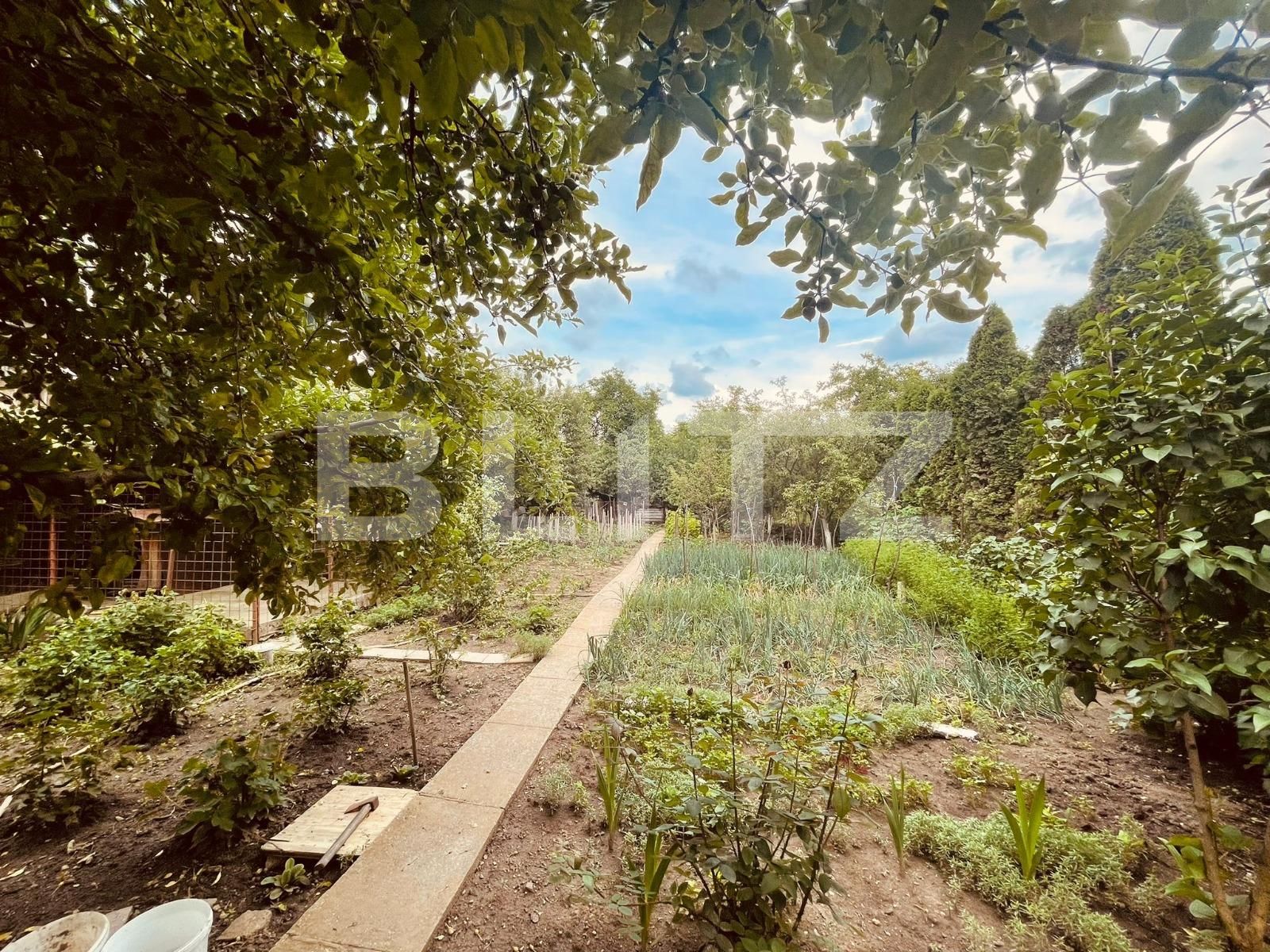 Casa de închiriat 3 camere Marasti - 118224CI | BLITZ Cluj-Napoca | Poza3